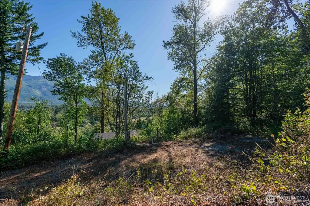 14405 399th Avenue SE Gold Bar WA 98251