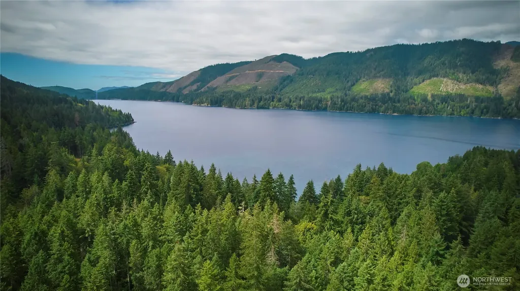 70 N Dow Mountain Drive Hoodsport WA 98548