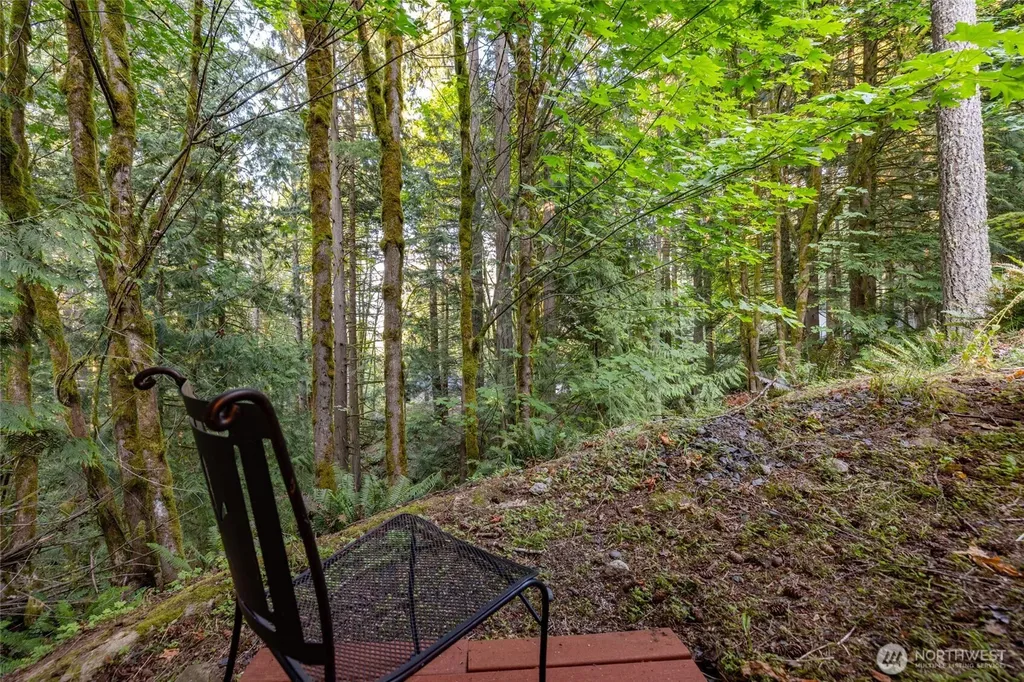 35 Green Hill Road Bellingham WA 98229