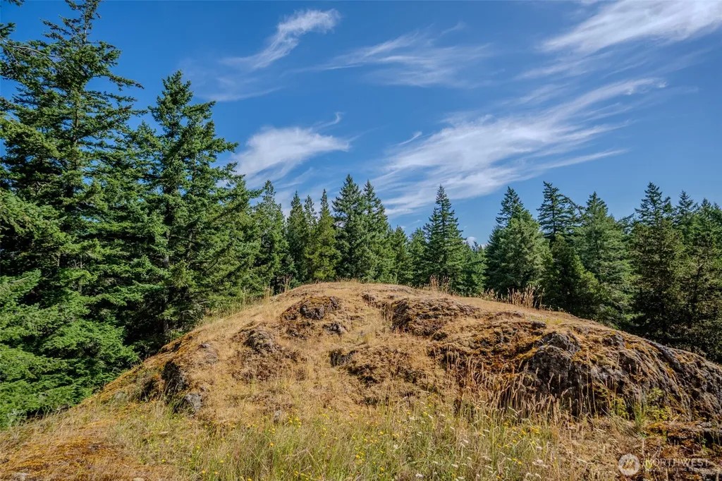 734 Swan Road Orcas Island WA 98245