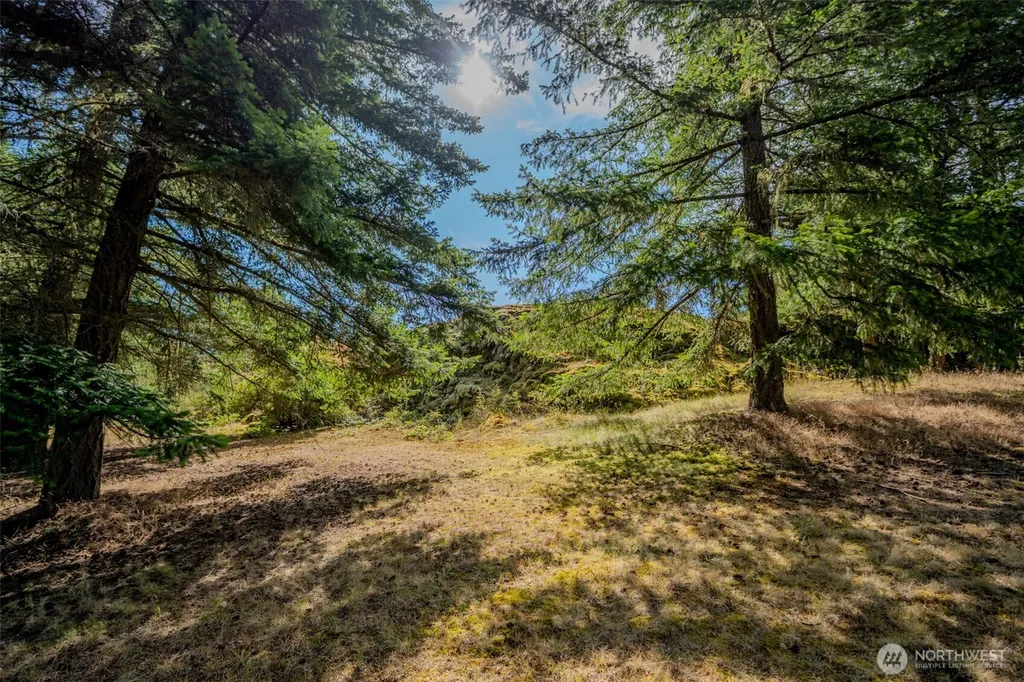 734 Swan Road Orcas Island WA 98245