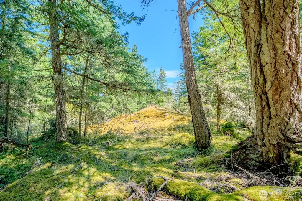 678 Swan Road Orcas Island WA 98245