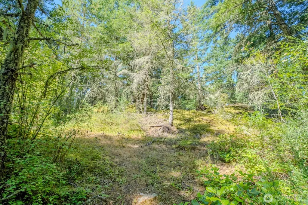 678 Swan Road Orcas Island WA 98245