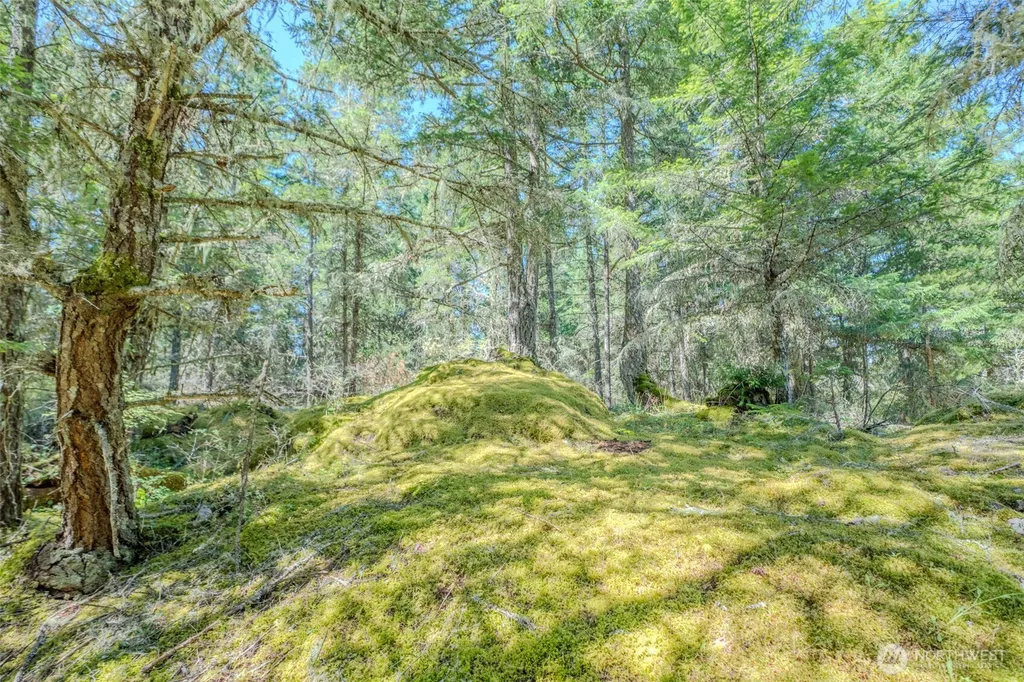 678 Swan Road Orcas Island WA 98245