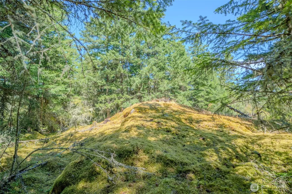 678 Swan Road Orcas Island WA 98245