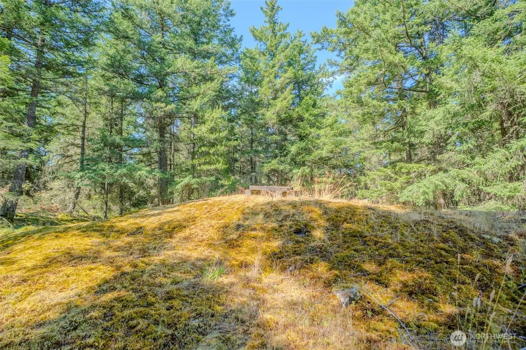 678 Swan Road Orcas Island WA 98245
