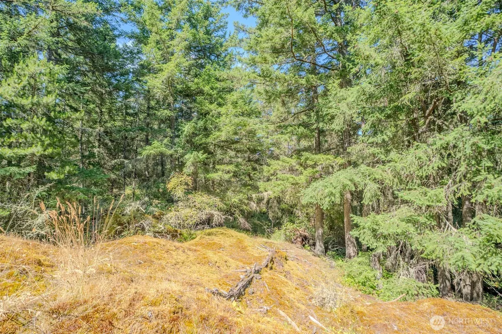 678 Swan Road Orcas Island WA 98245