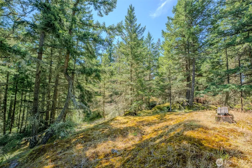 678 Swan Road Orcas Island WA 98245