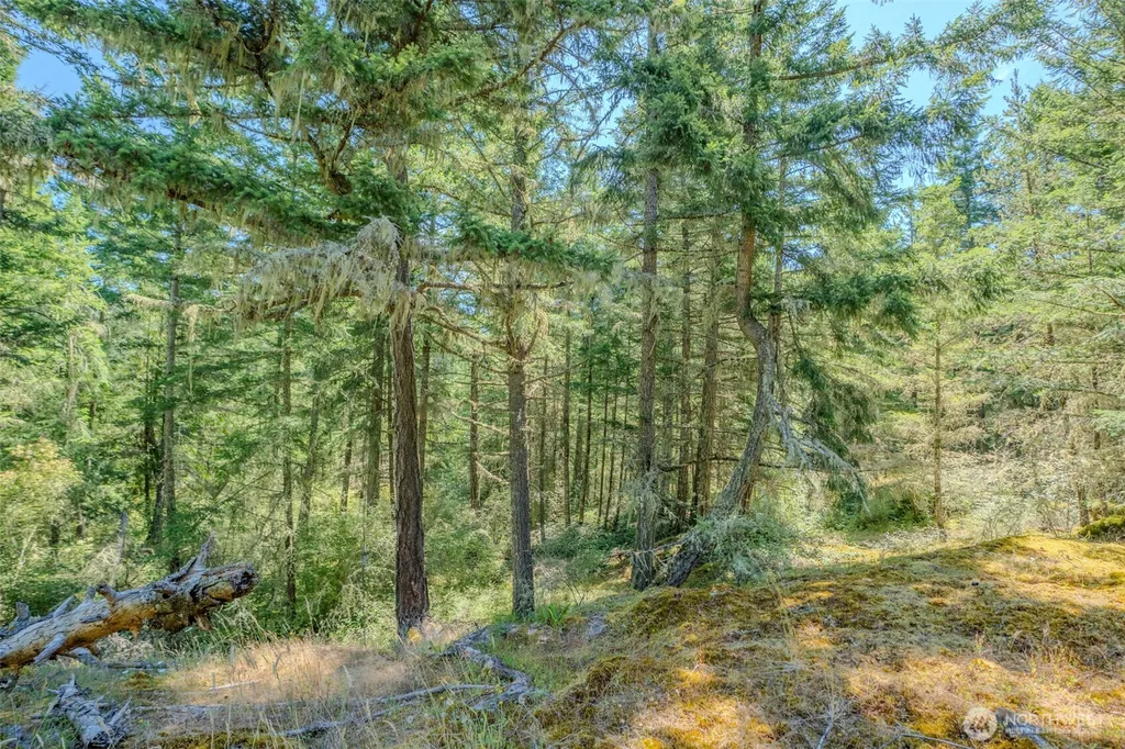 678 Swan Road Orcas Island WA 98245