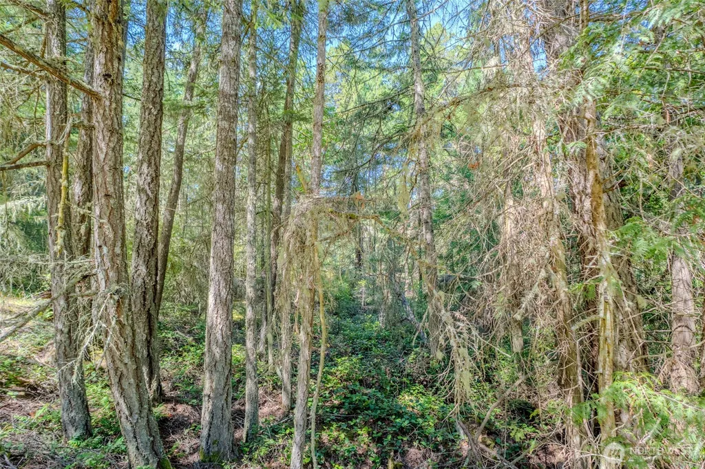 678 Swan Road Orcas Island WA 98245