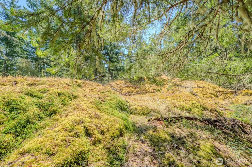 678 Swan Road Orcas Island WA 98245