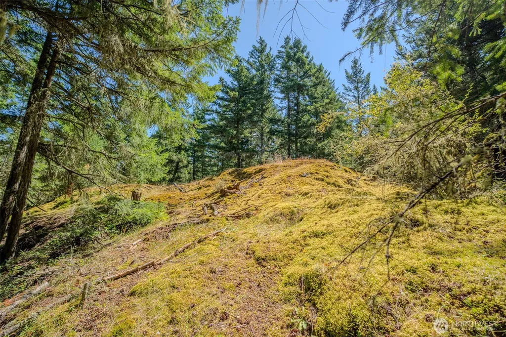 678 Swan Road Orcas Island WA 98245