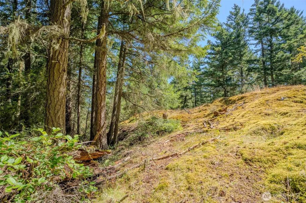 678 Swan Road Orcas Island WA 98245