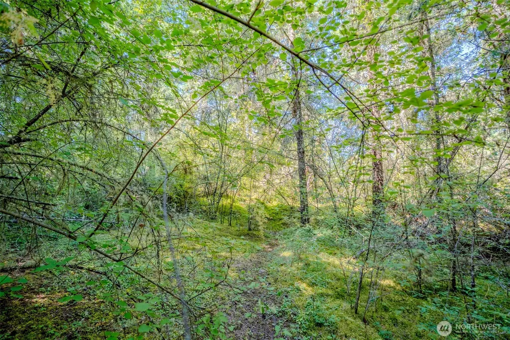 678 Swan Road Orcas Island WA 98245