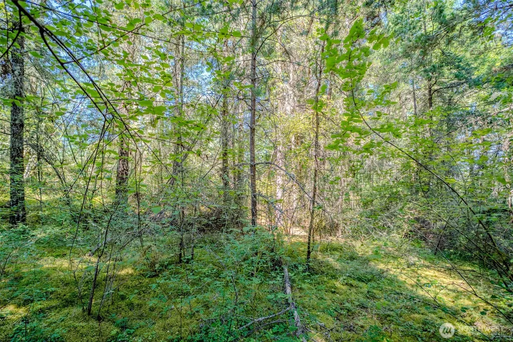 678 Swan Road Orcas Island WA 98245