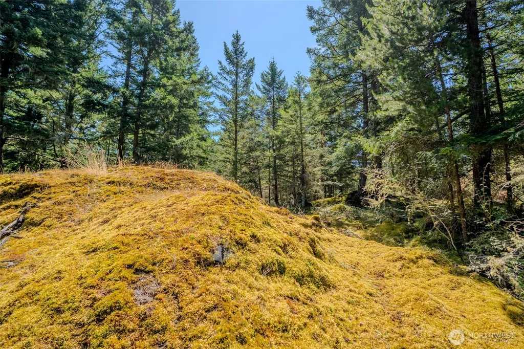 678 Swan Road Orcas Island WA 98245