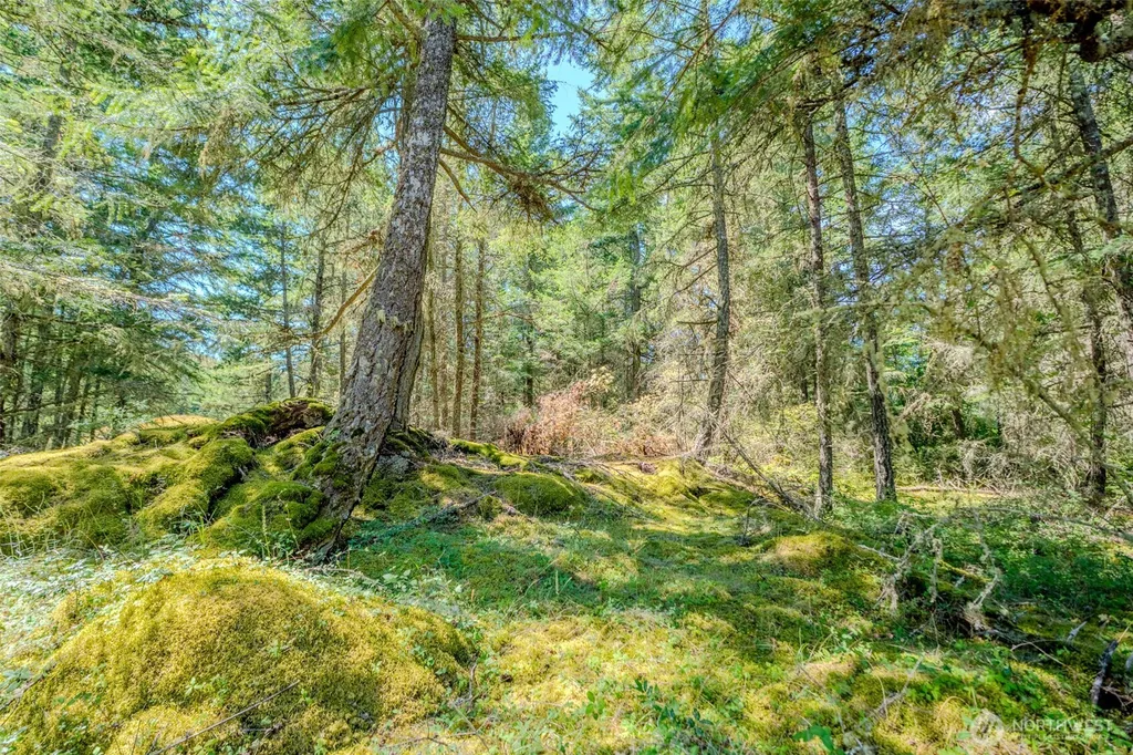 678 Swan Road Orcas Island WA 98245