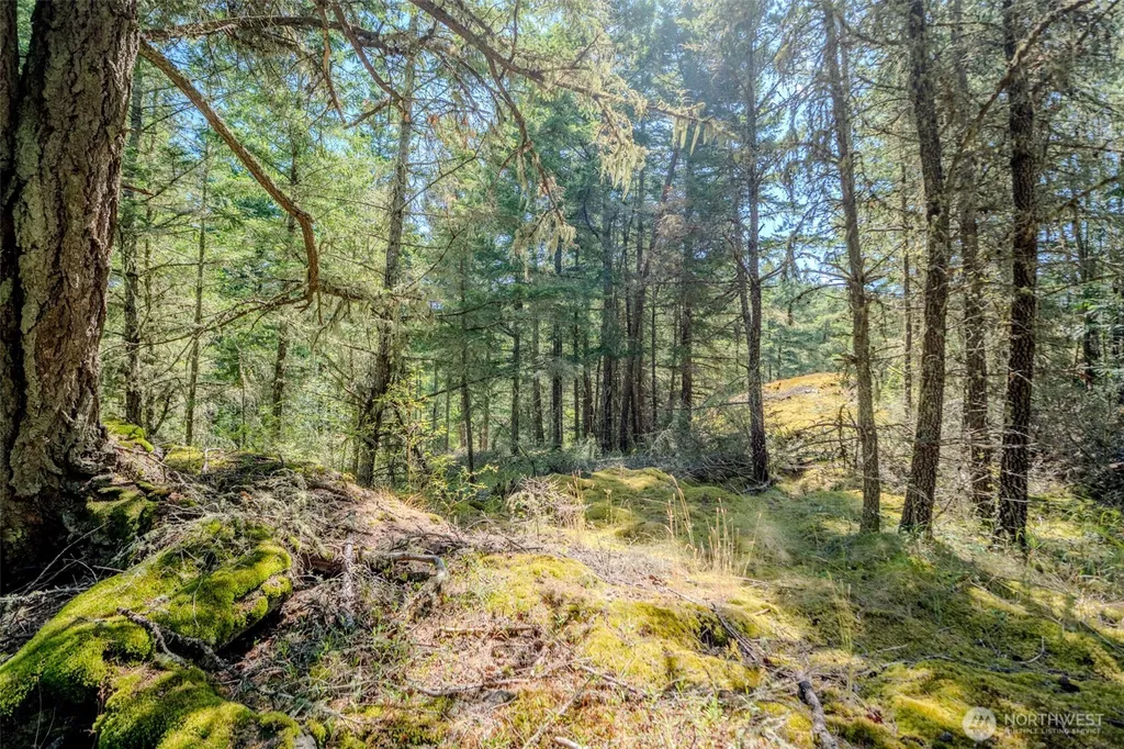 678 Swan Road Orcas Island WA 98245