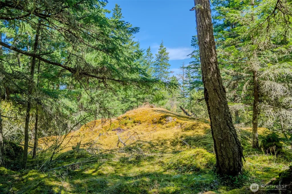 678 Swan Road Orcas Island WA 98245