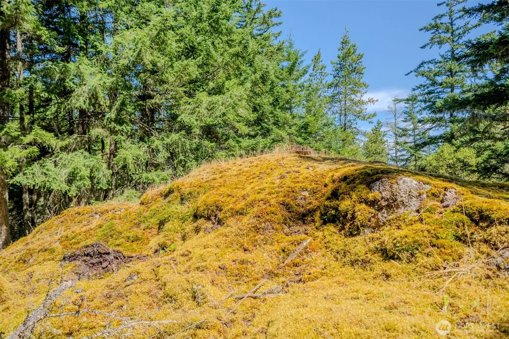 678 Swan Road Orcas Island WA 98245