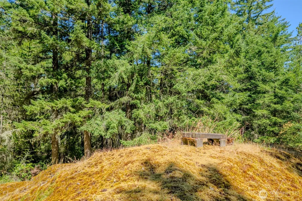 678 Swan Road Orcas Island WA 98245