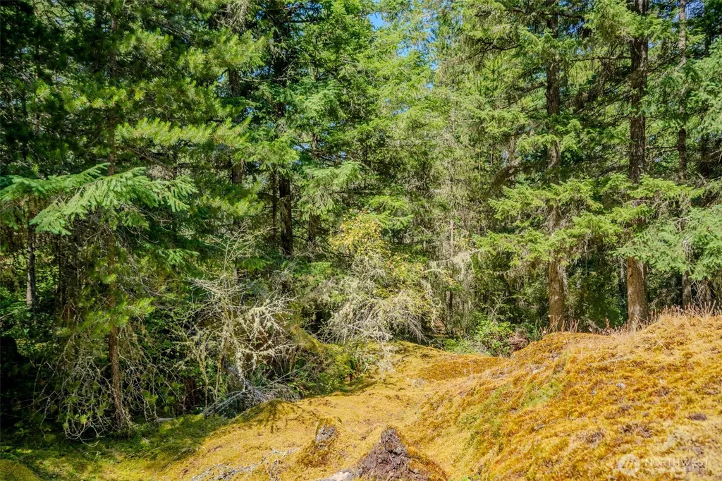 678 Swan Road Orcas Island WA 98245