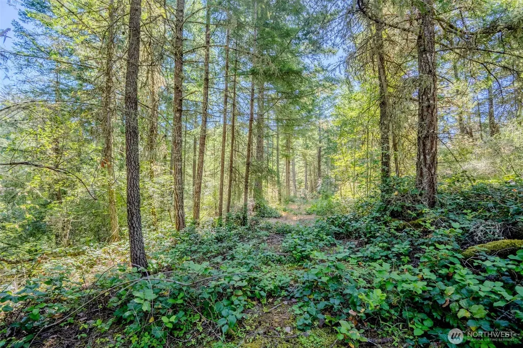 678 Swan Road Orcas Island WA 98245