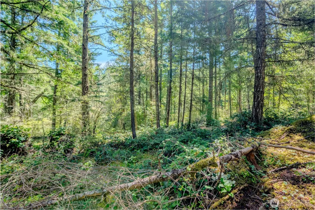 678 Swan Road Orcas Island WA 98245
