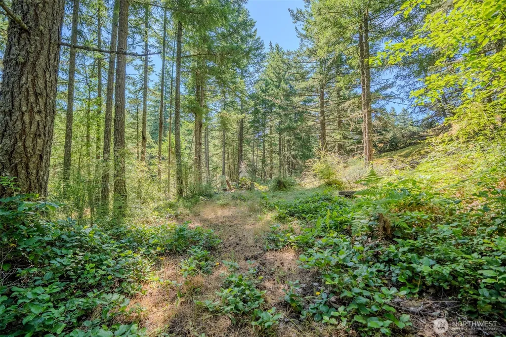 678 Swan Road Orcas Island WA 98245