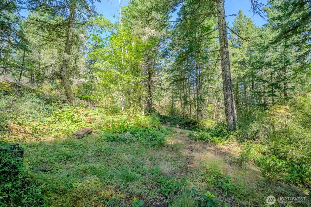 678 Swan Road Orcas Island WA 98245