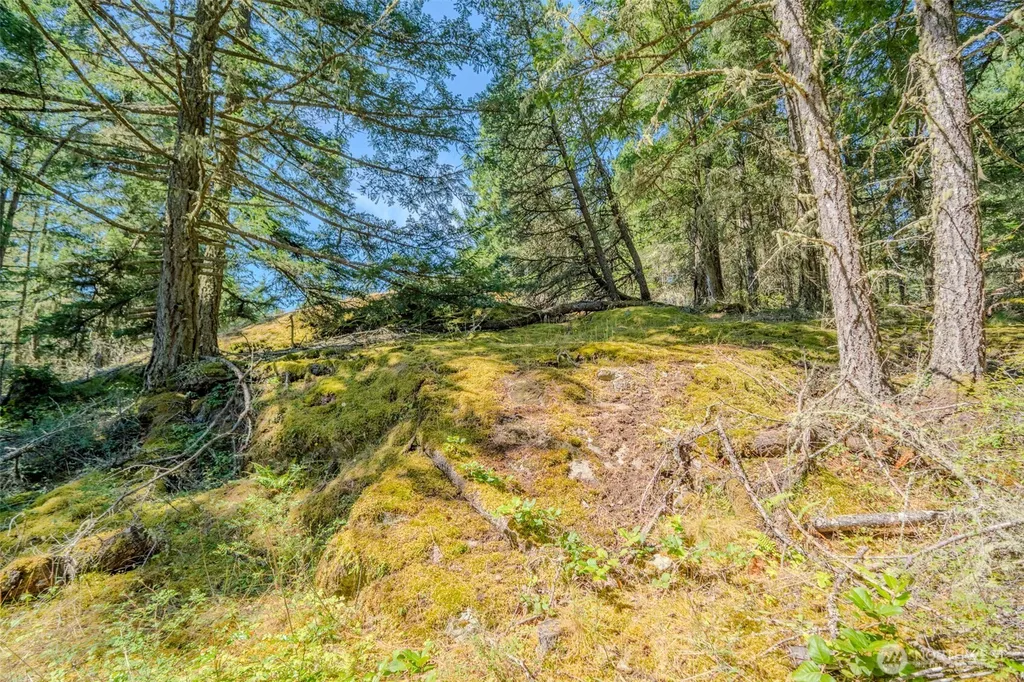 678 Swan Road Orcas Island WA 98245