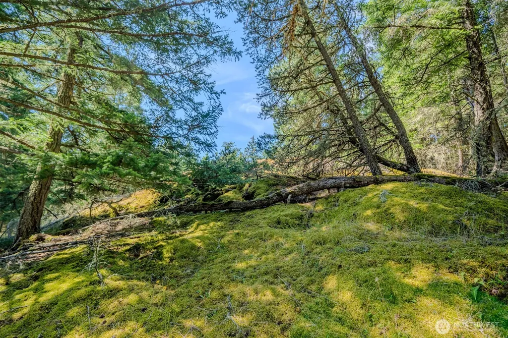 678 Swan Road Orcas Island WA 98245