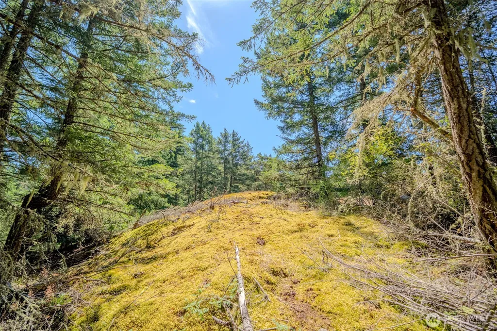 678 Swan Road Orcas Island WA 98245