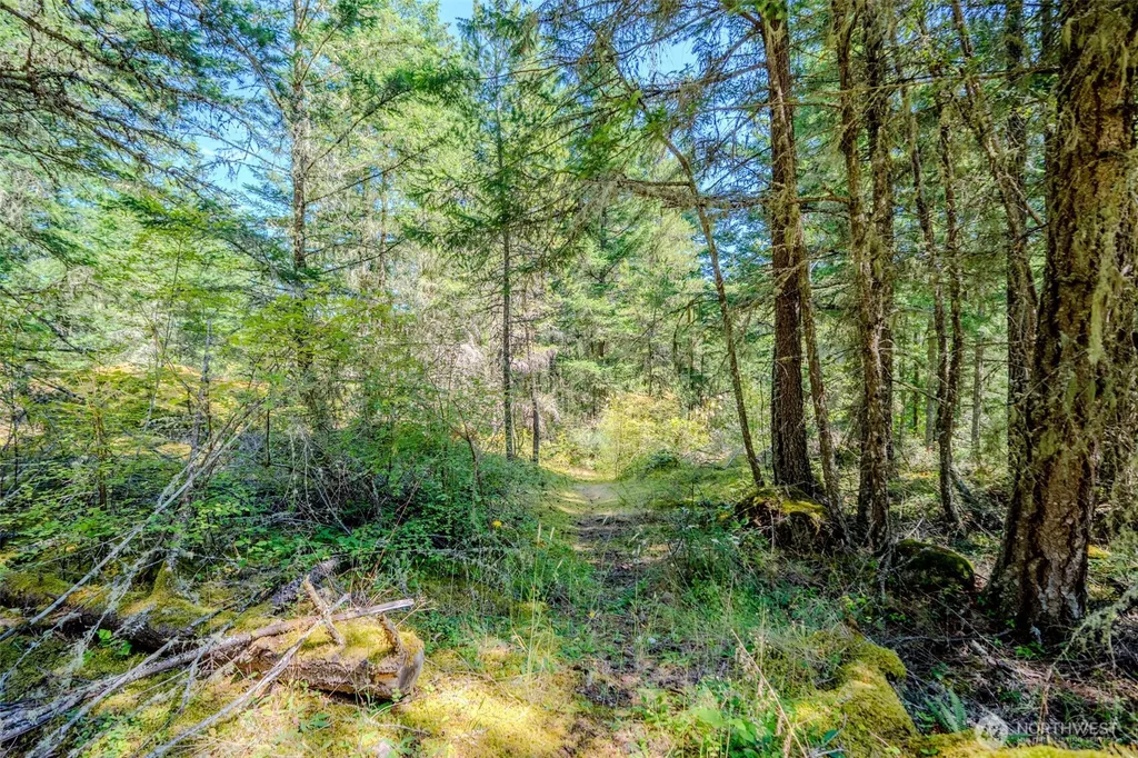 678 Swan Road Orcas Island WA 98245