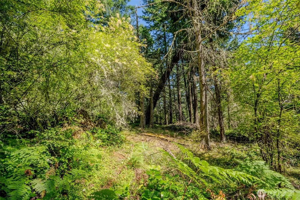 678 Swan Road Orcas Island WA 98245