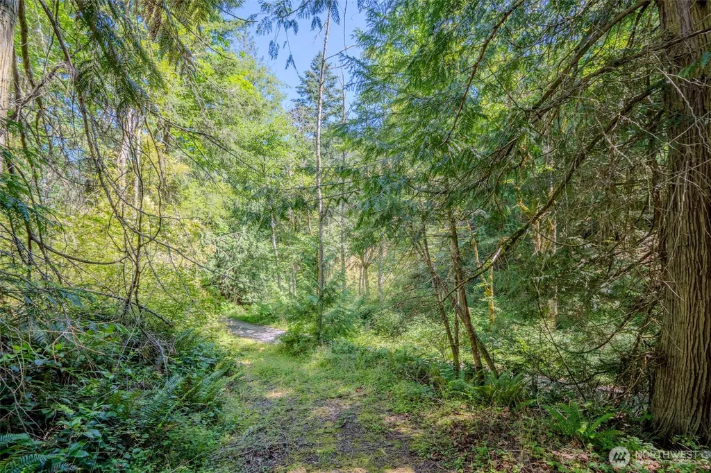 678 Swan Road Orcas Island WA 98245