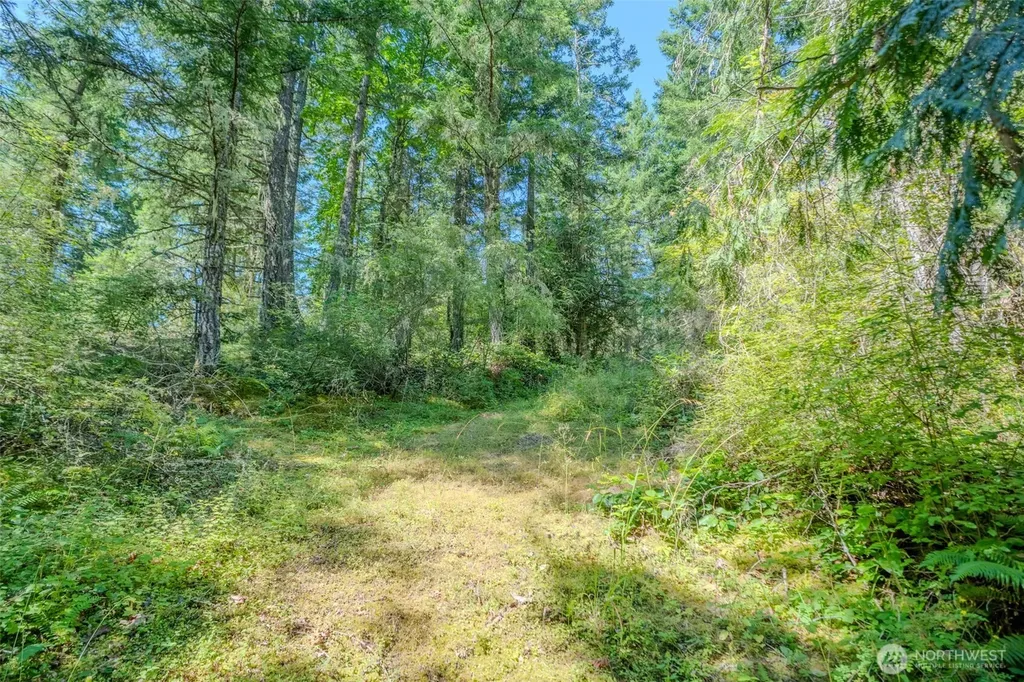 678 Swan Road Orcas Island WA 98245