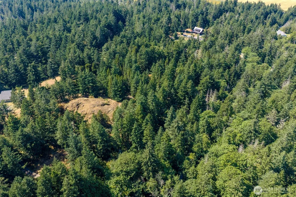 678 Swan Road Orcas Island WA 98245