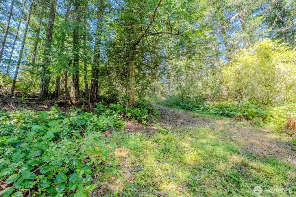 678 Swan Road Orcas Island WA 98245