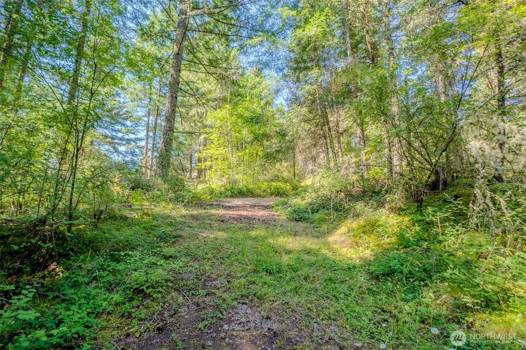 678 Swan Road Orcas Island WA 98245