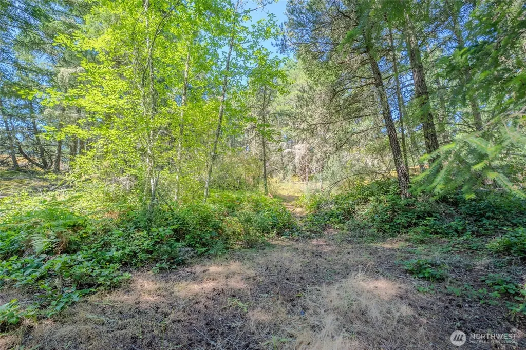 678 Swan Road Orcas Island WA 98245