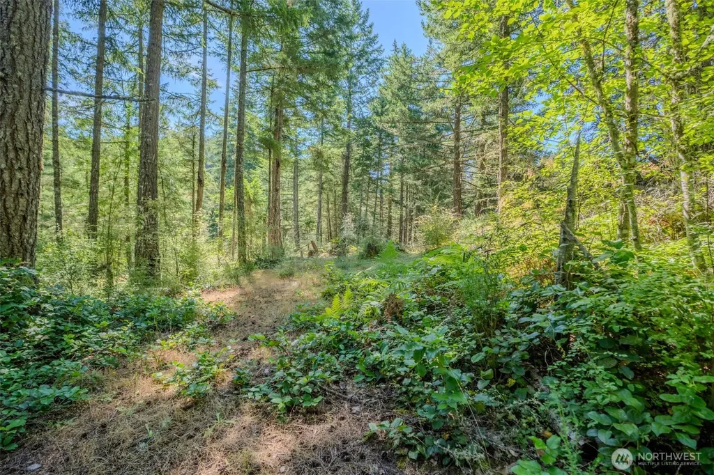 678 Swan Road Orcas Island WA 98245