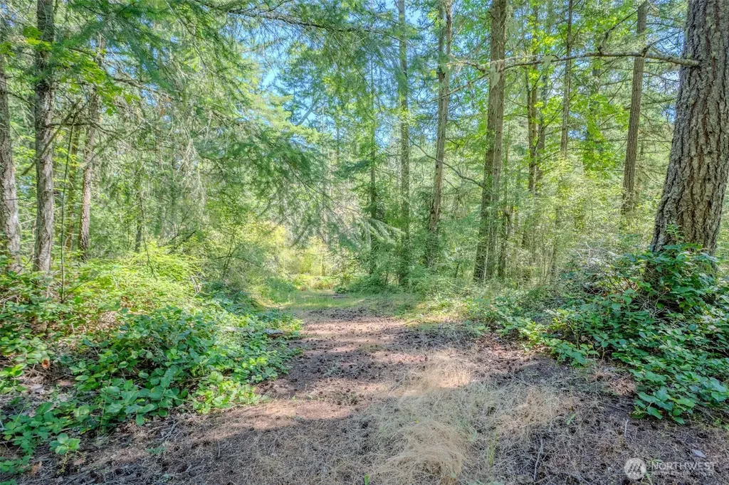 678 Swan Road Orcas Island WA 98245