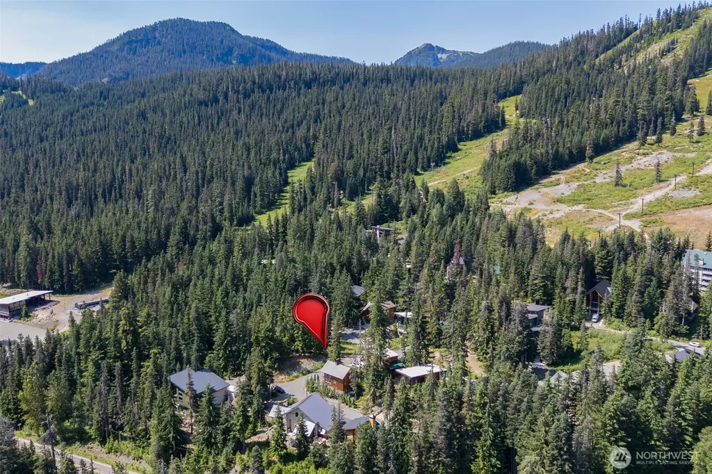 41 Cedar Lane Snoqualmie Pass WA 98068