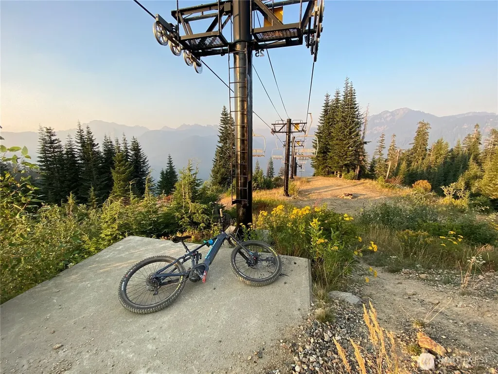 41 Cedar Lane Snoqualmie Pass WA 98068