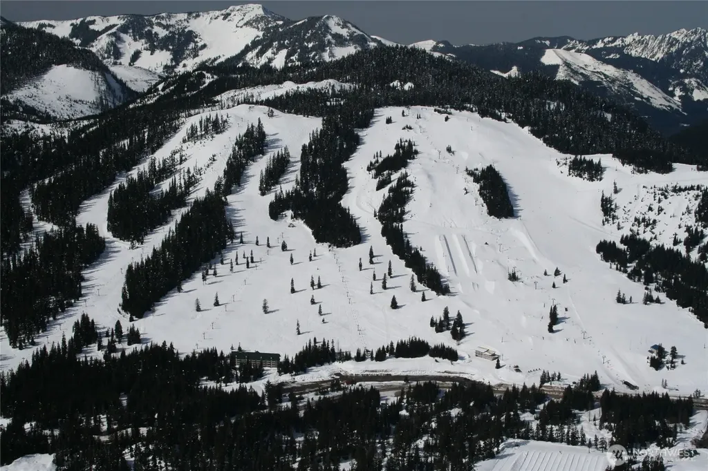 41 Cedar Lane Snoqualmie Pass WA 98068