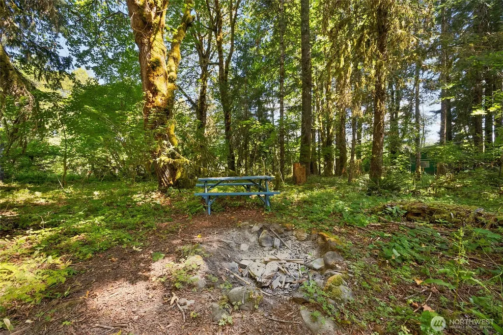 0 Elkhorn Drive Packwood WA 98361