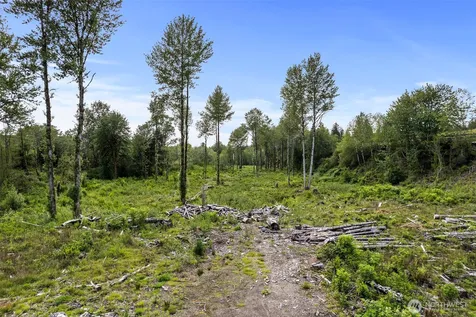 10 Joy Lane Humptulips WA 98552