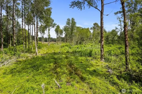 10 Joy Lane Humptulips WA 98552