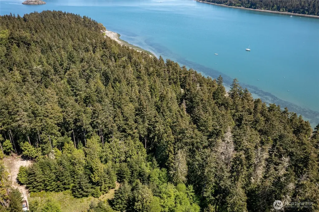 0 Captain Leison Lane Lopez Island WA 98261